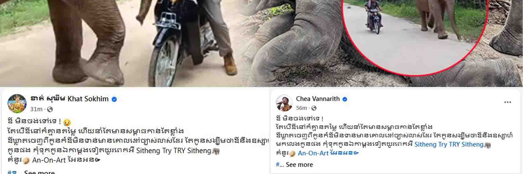 អ្នកសិល្បៈជាច្រើននាំគ្នាបញ្ចេញមតិទាំងក្ដុកក្ដួល ចំពោះការចាកចេញរបស់លោក ទ្រី ស៊ីថេង ខណៈលោកលែងបាននៅមើលថែដំរី Lucky បន្ត