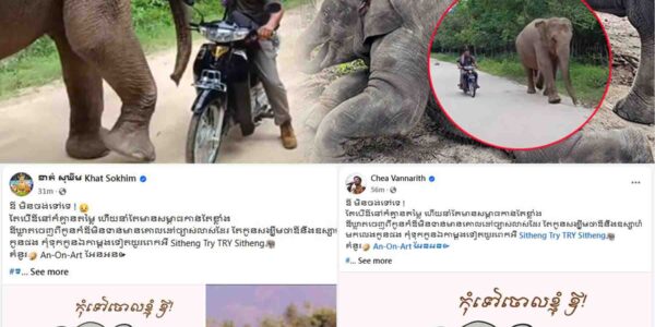 អ្នកសិល្បៈជាច្រើននាំគ្នាបញ្ចេញមតិទាំងក្ដុកក្ដួល ចំពោះការចាកចេញរបស់លោក ទ្រី ស៊ីថេង ខណៈលោកលែងបាននៅមើលថែដំរី Lucky បន្ត