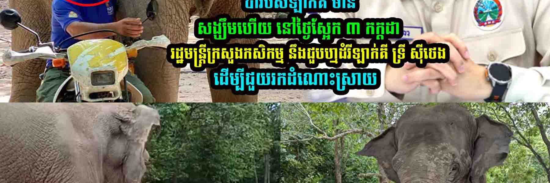 ប៉ា​​របស់​ឡាក់គី មានសង្ឃឹមហើយ !រដ្ឋមន្ត្រីក្រសួងកសិក-ម្ម នឹងជួបហ្មដំរី ឡាក់គី ដើម្បីជួ-យ