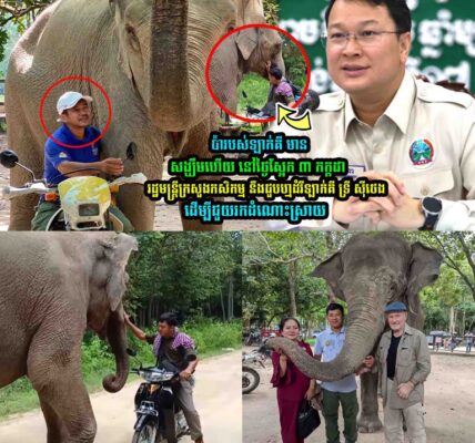 ប៉ា​​របស់​ឡាក់គី មានសង្ឃឹមហើយ !រដ្ឋមន្ត្រីក្រសួងកសិក-ម្ម នឹងជួបហ្មដំរី ឡាក់គី ដើម្បីជួ-យ
