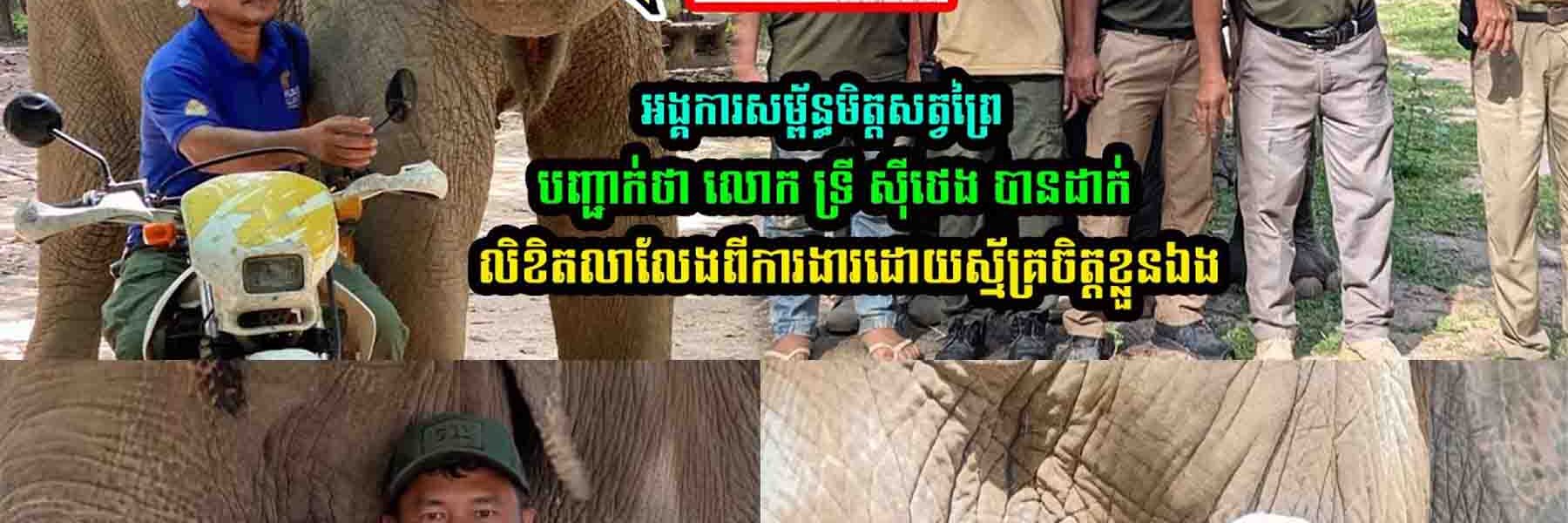 អង្គការសម្ព័ន្ធមិត្តសត្វព្រៃបញ្ជា/ក់ថា មិនបានបញ្ឈ-ប់ឬស្មើឱ្យលោកទ្រី ស៊ីថេង