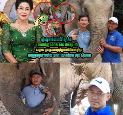 រឿងអ្នកមើលថែដំរី ឡាក់គីលេាក តាន់ គឹមសួរ លើកឡើងបែបនេះ ខណះ លេាកចំទាវ ហ៊ុន ណាត ថា…..