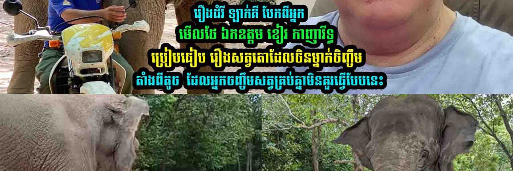 រឿងដំរី ឡាក់គី ឯកឧត្តម ខៀវ កាញារីទ្ធ ប្រៀបធៀ-ប រឿងស-ត្វតោដែលចិនម្នាក់ចិញ្ចឹ-មតាំងពីតូ-ច