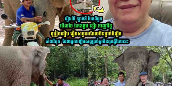 រឿងដំរី ឡាក់គី ឯកឧត្តម ខៀវ កាញារីទ្ធ ប្រៀបធៀ-ប រឿងស-ត្វតោដែលចិនម្នាក់ចិញ្ចឹ-មតាំងពីតូ-ច