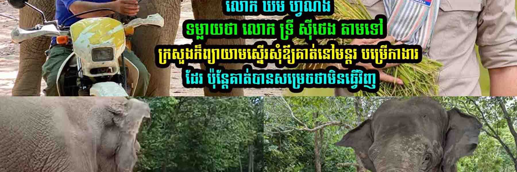 លេាក ឃឹម ហ្វីណង់ ទម្លា/យថា​ លេាក ទ្រី ស៊ីថេង ថា….