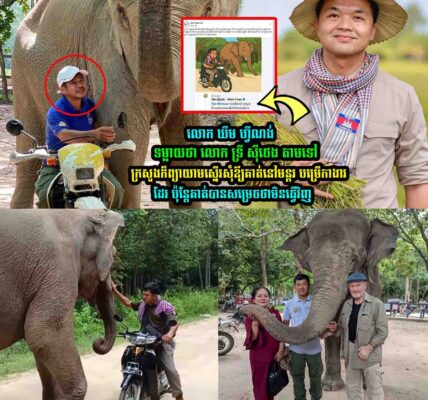 លេាក ឃឹម ហ្វីណង់ ទម្លា/យថា​ លេាក ទ្រី ស៊ីថេង ថា….