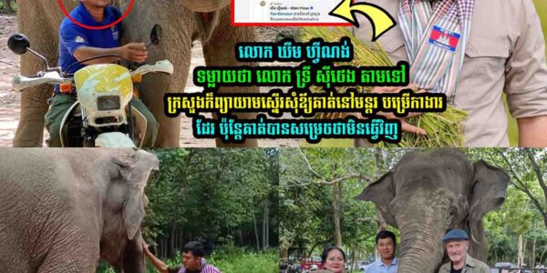 លេាក ឃឹម ហ្វីណង់ ទម្លា/យថា​ លេាក ទ្រី ស៊ីថេង ថា….