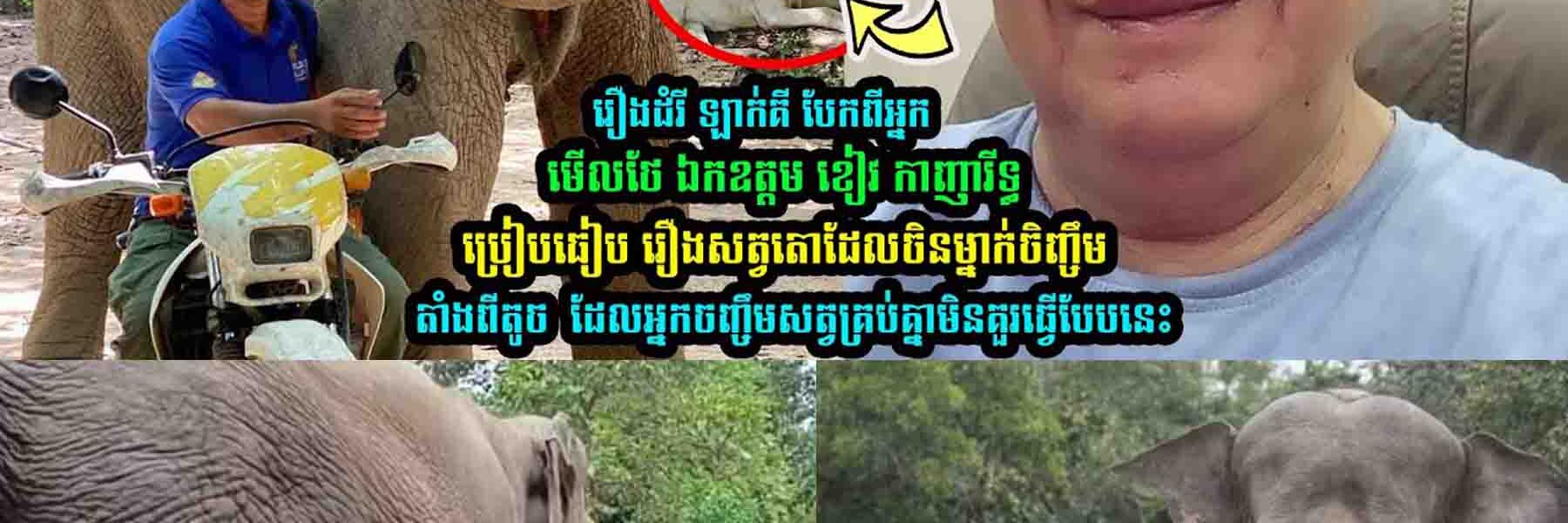 រឿងដំរី ឡាក់គី ឯកឧត្តម ខៀវ កាញារីទ្ធ ប្រៀបធៀ-ប រឿងស-ត្វតោដែលចិនម្នាក់ចិញ្ចឹ-មតាំងពីតូ-ច