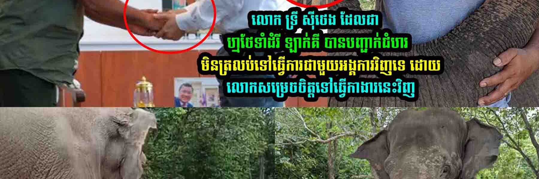 លោក ទ្រី ស៊ីថេង បានបញ្ជា-ក់ជំ-ហរមិនត្រលប់ទៅធ្វើការជាមួយអង្គការវិញទេ លេាកសម្រេចធ្វើកាងារថ្មីនេះវិញ