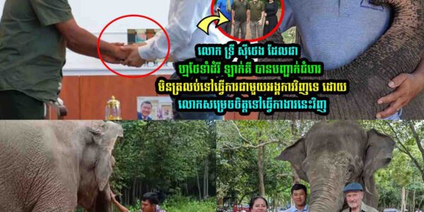 លោក ទ្រី ស៊ីថេង បានបញ្ជា-ក់ជំ-ហរមិនត្រលប់ទៅធ្វើការជាមួយអង្គការវិញទេ លេាកសម្រេចធ្វើកាងារថ្មីនេះវិញ
