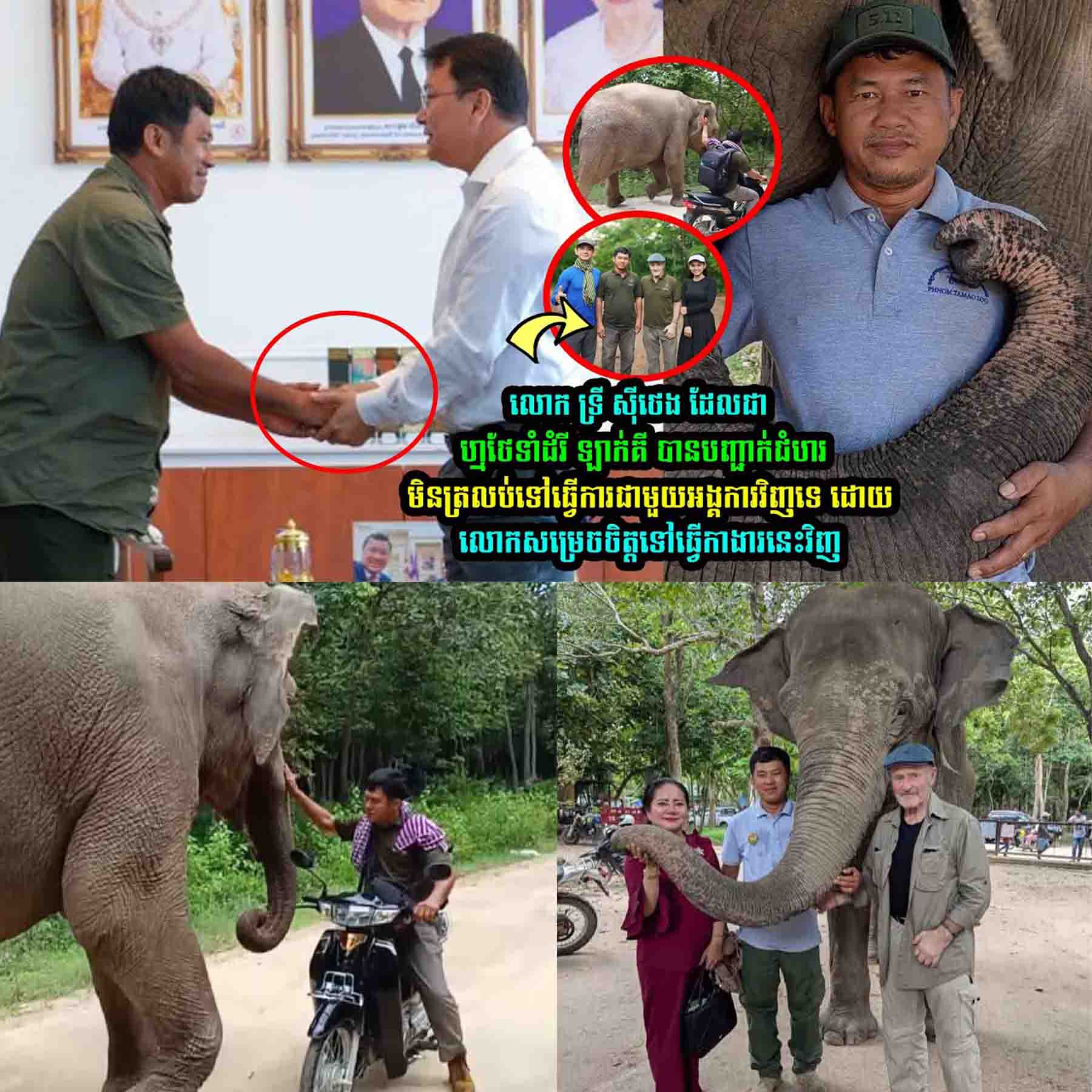 លោក ទ្រី ស៊ីថេង បានបញ្ជា-ក់ជំ-ហរមិនត្រលប់ទៅធ្វើការជាមួយអង្គការវិញទេ លេាកសម្រេចធ្វើកាងារថ្មីនេះវិញ