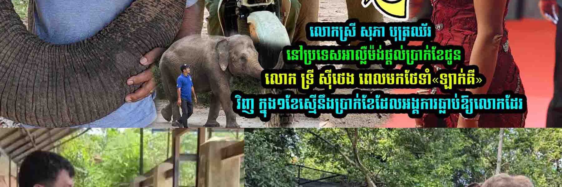 លោកស្រី សុភា បុត្រឈ័រ នៅប្រទេសអាល្លឺម៉ង់ផ្តល់ប្រា/ក់ខែជូនលោក ទ្រី សុីថេង ពេលមកថែទាំ«ឡាក់គី»វិញ