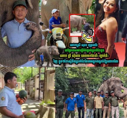 លោកស្រី សុភា បុត្រឈ័រ នៅប្រទេសអាល្លឺម៉ង់ផ្តល់ប្រា/ក់ខែជូនលោក ទ្រី សុីថេង ពេលមកថែទាំ«ឡាក់គី»វិញ