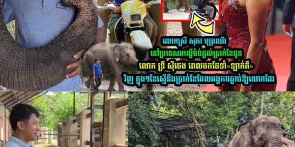 លោកស្រី សុភា បុត្រឈ័រ នៅប្រទេសអាល្លឺម៉ង់ផ្តល់ប្រា/ក់ខែជូនលោក ទ្រី សុីថេង ពេលមកថែទាំ«ឡាក់គី»វិញ