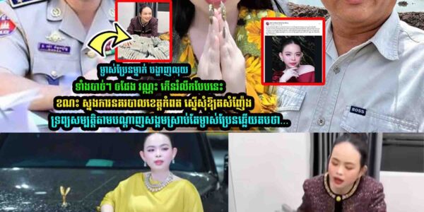 ម្ចាស់ប្រែន miss បង្ហាញលុ/យ ស្រាបតែលេាក ផែង វណ្ណះ លើកឡើងបែបនេះ ខណះ ស្នងការខេត្តកំពតថា…