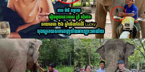 ថាច ម៉ារី ទម្លា/យរឿងមួយនេះរបស់ ទ្រី ស៊ីថេងចាយពេល ២៦ ឆ្នាំមើលថែដំរី Lucky