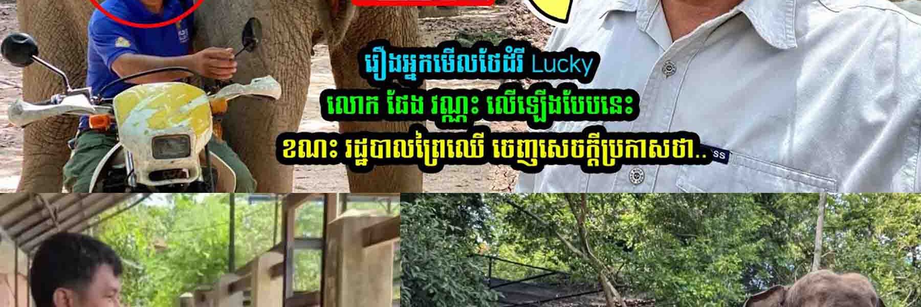 រឿងដំរីឈ្មោះ ឡាក់គី លេាក ផែង វណ្ណះ លើកឡើងថា..​.
