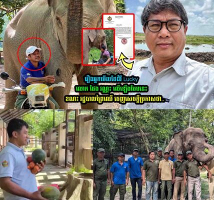 រឿងដំរីឈ្មោះ ឡាក់គី លេាក ផែង វណ្ណះ លើកឡើងថា..​.