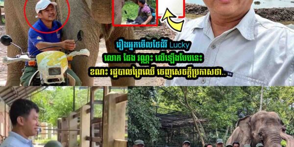 រឿងដំរីឈ្មោះ ឡាក់គី លេាក ផែង វណ្ណះ លើកឡើងថា..​.