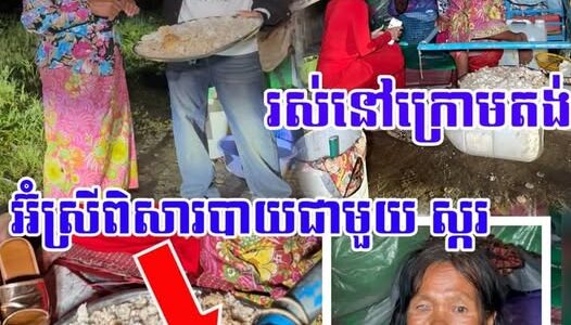 ក្តុ-ក-ក្តូ-ល-ណាស់ អ៊ំស្រីពិសារបាយជាមួយស្ករ ស ជាមួយចៅ រស់នៅក្រោមតង់ ភ្លៀងមកម្តងៗលិ-ចអស់…