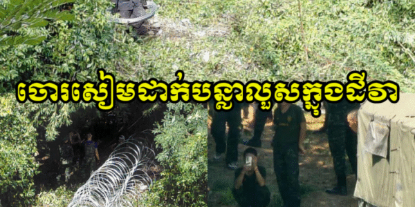 ចោរសៀម!! ទាហានថៃទាំងប៉ារ៉ា និងឈុតខ្មៅ បន្តយកបន្លាលួសមករាយតាមមាត់អូរ (ក្នុងដីរបស់វា) ទល់មុខភូមិសាស្រ្តក្រុងប៉ោយប៉ែត