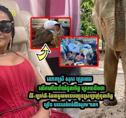 លោកស្រី សុភា បុត្រឈ័រ រំជួលចិត្ត ក្រោយដឹងថាដំរី«ឡាក់គី» ដែលបងប្អូនស្រលាញ់ចូលចិត្តច្រើន បានបាត់បង់ជីវិតភ្លាមពេក….