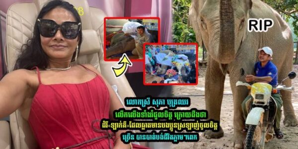 លោកស្រី សុភា បុត្រឈ័រ រំជួលចិត្ត ក្រោយដឹងថាដំរី«ឡាក់គី» ដែលបងប្អូនស្រលាញ់ចូលចិត្តច្រើន បានបាត់បង់ជីវិតភ្លាមពេក….