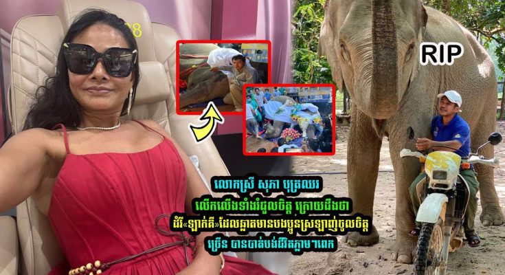 លោកស្រី សុភា បុត្រឈ័រ រំជួលចិត្ត ក្រោយដឹងថាដំរី«ឡាក់គី» ដែលបងប្អូនស្រលាញ់ចូលចិត្តច្រើន បានបាត់បង់ជីវិតភ្លាមពេក….