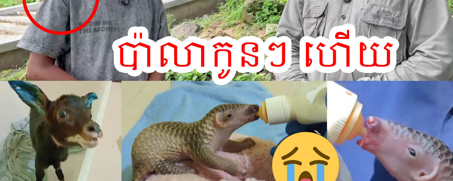 សោកស្តាយណាស់ ! ធ្វើការ 18 ឆ្នាំ មើលថែកូនសត្វព្រៃ រាប់ម៉ឺនក្បាល បានលាឈប់ការងារហើយ ដោយសារតែ…
