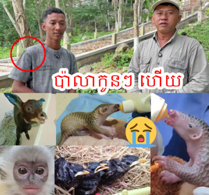 សោកស្តាយណាស់ ! ធ្វើការ 18 ឆ្នាំ មើលថែកូនសត្វព្រៃ រាប់ម៉ឺនក្បាល បានលាឈប់ការងារហើយ ដោយសារតែ…