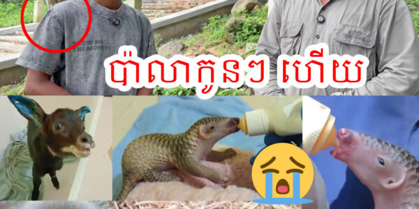 សោកស្តាយណាស់ ! ធ្វើការ 18 ឆ្នាំ មើលថែកូនសត្វព្រៃ រាប់ម៉ឺនក្បាល បានលាឈប់ការងារហើយ ដោយសារតែ…