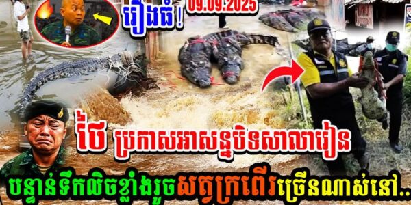 ថៃ ប្រកាសអាសន្នបិទសាលារៀនបន្ទាន់ទឹកលិចខ្លាំងរួចសត្វក្រពើរច្រើនណាស់នៅ….(មានវីដេអូ)
