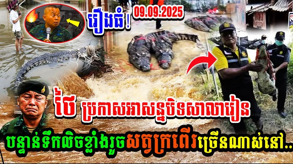 ថៃ ប្រកាសអាសន្នបិទសាលារៀនបន្ទាន់ទឹកលិចខ្លាំងរួចសត្វក្រពើរច្រើនណាស់នៅ….(មានវីដេអូ)