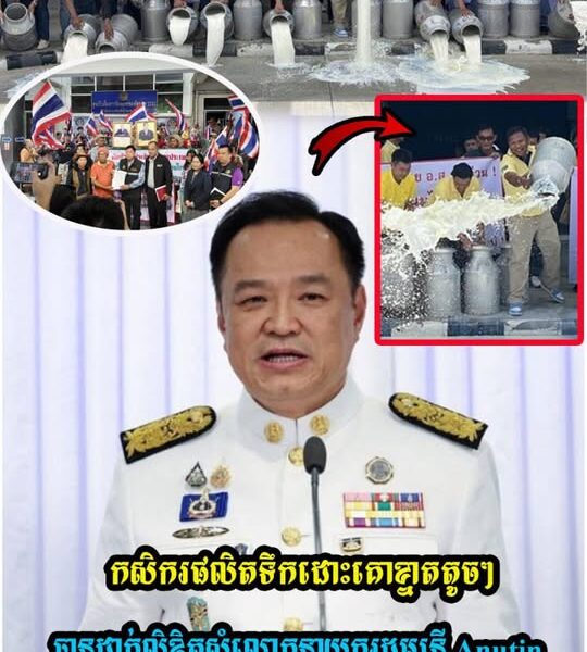 អ្នកផលិតទឹកដោះគោនៅថៃនាំគ្នាចា.ក់ទឹកដោះគោចោ.ល ព្រោះតែ..