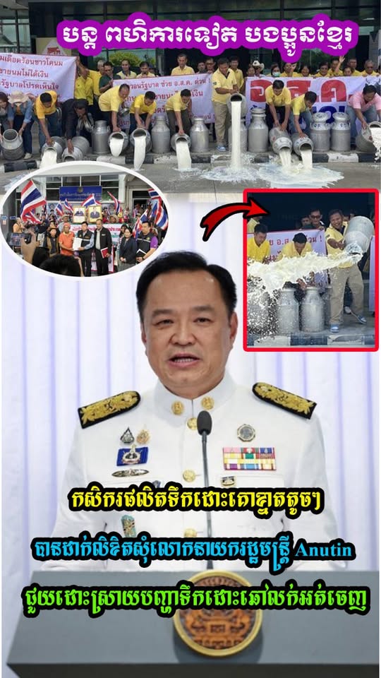 អ្នកផលិតទឹកដោះគោនៅថៃនាំគ្នាចា.ក់ទឹកដោះគោចោ.ល ព្រោះតែ..