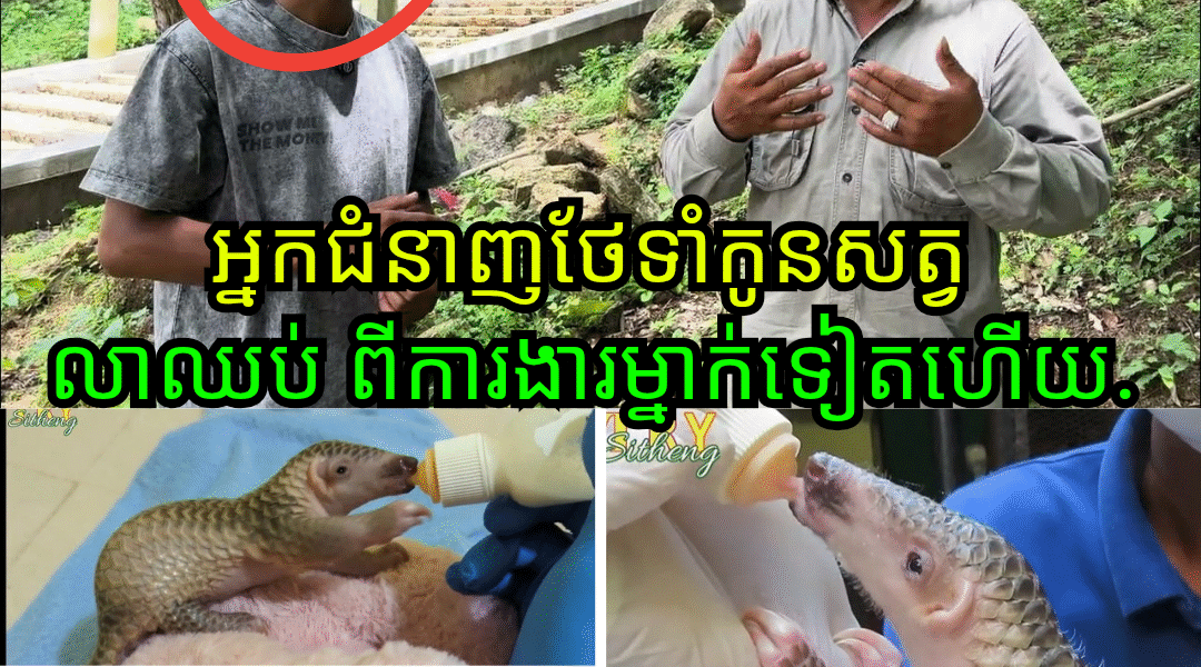 សោកស្តាយ! អ្នកជំនាញថែទាំសត្វព្រៃដ៏ល្បីល្បាញ លាឈប់ពីការងារក្រោយបម្រើការ ១៨ ឆ្នាំ ដោយសារបញ្ហាផ្ទៃក្នុង