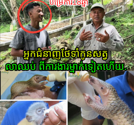 សោកស្តាយ! អ្នកជំនាញថែទាំសត្វព្រៃដ៏ល្បីល្បាញ លាឈប់ពីការងារក្រោយបម្រើការ ១៨ ឆ្នាំ ដោយសារបញ្ហាផ្ទៃក្នុង