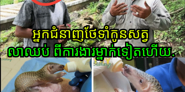 សោកស្តាយ! អ្នកជំនាញថែទាំសត្វព្រៃដ៏ល្បីល្បាញ លាឈប់ពីការងារក្រោយបម្រើការ ១៨ ឆ្នាំ ដោយសារបញ្ហាផ្ទៃក្នុង